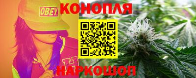 шишки Беслан
