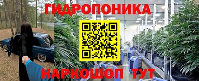 mix Бийск