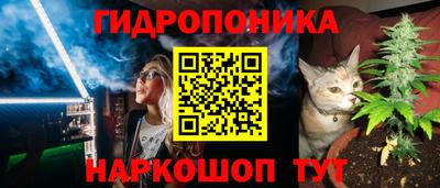 mix Бийск