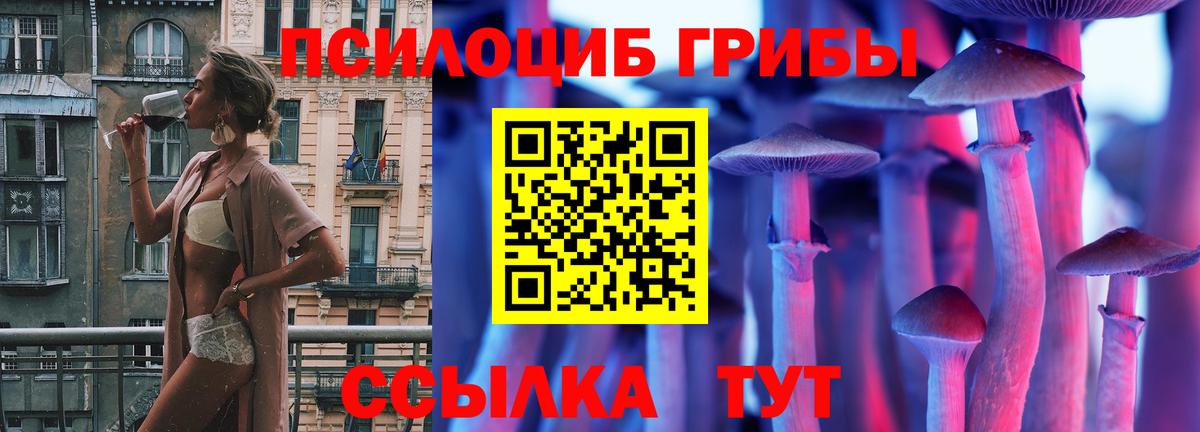 Галлюциногенные грибы мицелий Воскресенск